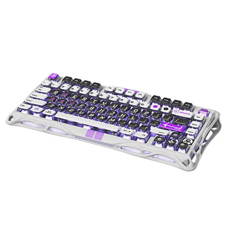 GravaStar Mercury V75 HE Hall Effect Manyetik Switch Gaming Klavye, Hot-Swappable, Rapid Trigger, 8000Hz, 0.125ms Ultra Düşük Gecikme, Kablolu, RGB Işıklı, İngilizce Q, Mecha Gray