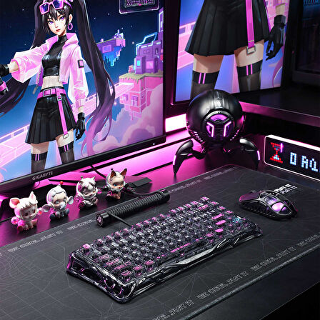 GravaStar Mercury V75 Lite HE Hall Effect Manyetik Switch Gaming Klavye, Hot-Swappable, Rapid Trigger, 8000Hz, 0.25ms Ultra Düşük Gecikme, Kablolu, RGB Işıklı, İngilizce Q, Transparent Black
