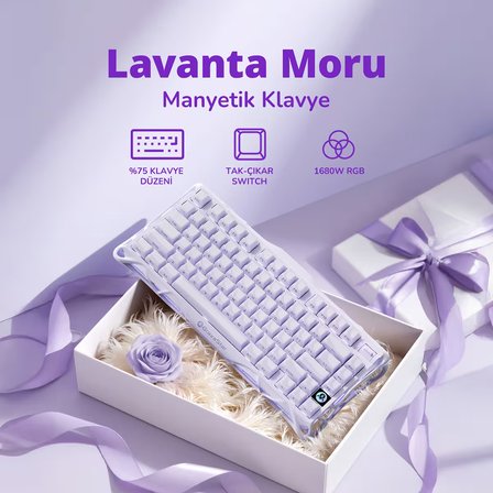 GravaStar Mercury V75 HE Hall Effect Manyetik Switch Gaming Klavye, Hot-Swappable, Rapid Trigger, 8000Hz, 0.125ms Ultra Düşük Gecikme, Kablolu, RGB Işıklı, İngilizce Q, Lavender Purple