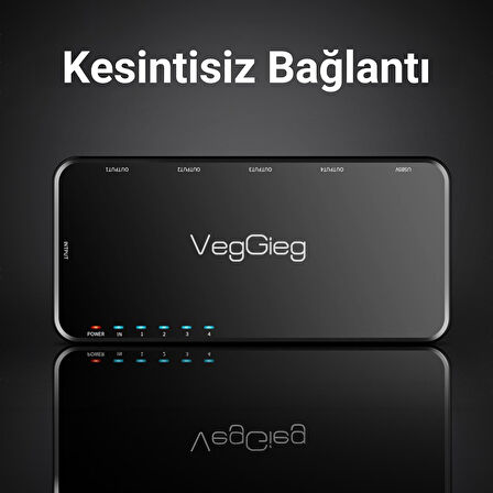 VegGieg 4K HDMI 1 Giriş 4 Çıkış Görüntü Çoklayıcı Splitter