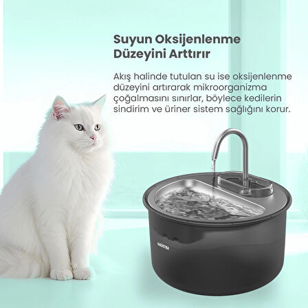 Haustier WF009LS Otomatik Kedi Su Sebili,Kedi Su Çeşmesi, Su Pınarı 3.5Lt Geniş Hazne, Çelik Tabla, Ultra Sessiz, BPA İçermez (Siyah, 3.5 lt)