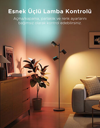 Govee 3'lü Spot Aydınlatma Köşe Lambası