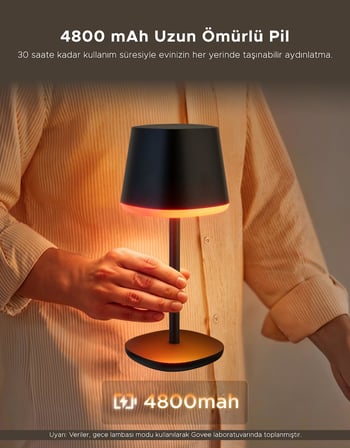 Govee RGBICWW Taşınabilir Klasik Matter Destekli Masa Lambası