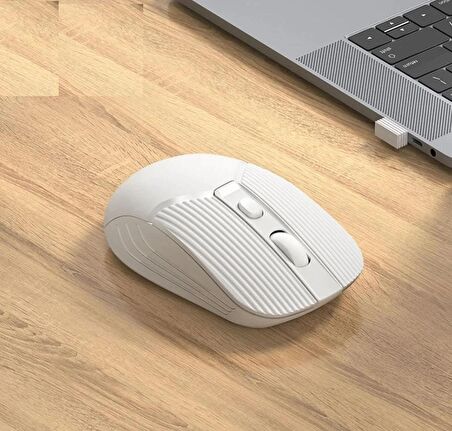 Kablosuz Mouse Wirelless USB 1600 DPI Busıness Mouse BG5