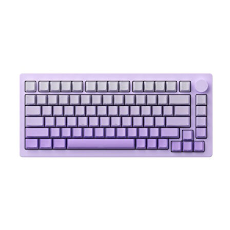 AKKO MONSGEEK M1W V3 HE-SP Purple Gradiant Hall Effect Manyetik Switch RGB Kablosuz Hotswap Mekanik Gaming Klavye