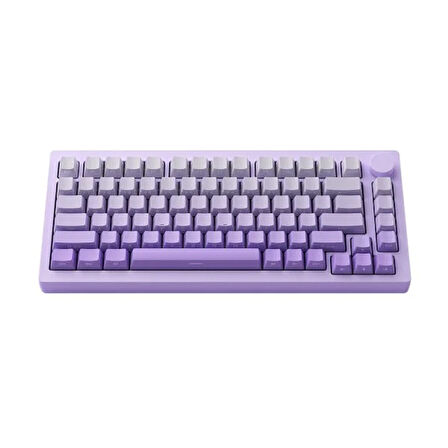 AKKO MONSGEEK M1W V3 HE-SP Purple Gradiant Hall Effect Manyetik Switch RGB Kablosuz Hotswap Mekanik Gaming Klavye