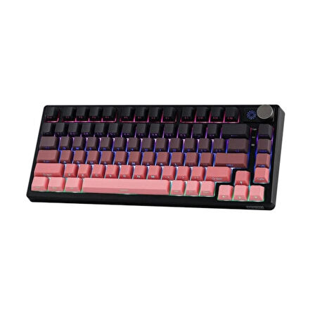 EPOMAKER HE75 Tri Mechanical Black Pink Flamingo Switch RGB Kablosuz Hotswap Mekanik Gaming Klavye