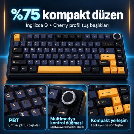 AULA F75 Siyah LEOBOG Icevein Switch RGB Kablosuz Hotswap Mekanik Gaming Klavye