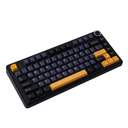 AULA F75 Siyah LEOBOG Icevein Switch RGB Kablosuz Hotswap Mekanik Gaming Klavye