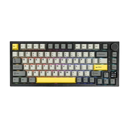 AJAZZ AK820 Pro Gri Gift Switch RGB Kablosuz Hotswap Mekanik Gaming Klavye