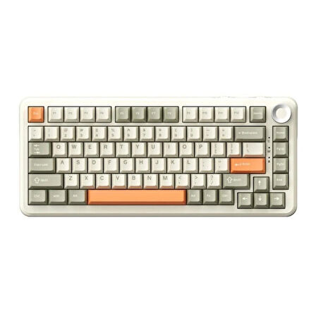 AJAZZ AK820 Max Grey Beige Orange Flying Fish Switch RGB Kablosuz Hotswap Mekanik Gaming Klavye