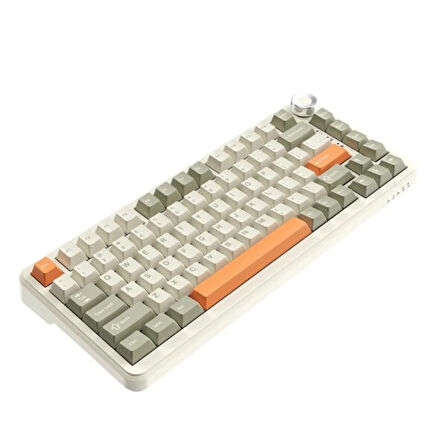 AJAZZ AK820 Max Grey Beige Orange Flying Fish Switch RGB Kablosuz Hotswap Mekanik Gaming Klavye