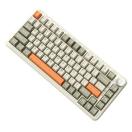 AJAZZ AK820 Max Grey Beige Orange Flying Fish Switch RGB Kablosuz Hotswap Mekanik Gaming Klavye