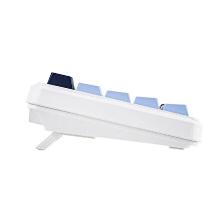 AJAZZ AK680 Max Blue White Front Printed Magnetic Rice Manyetik Switch RGB Hotswap Mekanik Gaming Klavye