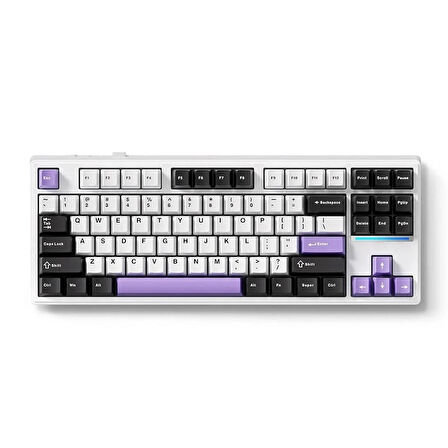 MCHOSE K87 %80 TKL RGB Kablosuz Hotswap Mor Mekanik Gaming Klavye (MC-K87-13)