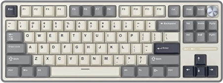 Royal Kludge R87 Pro Beyaz/Gri TKL Kablolu US Gaming Klavye