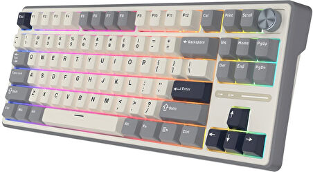 Royal Kludge R87 Pro Beyaz/Gri TKL Kablolu US Gaming Klavye
