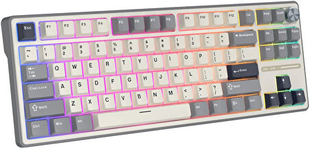 Royal Kludge R87 Pro Beyaz/Gri TKL Kablolu US Gaming Klavye