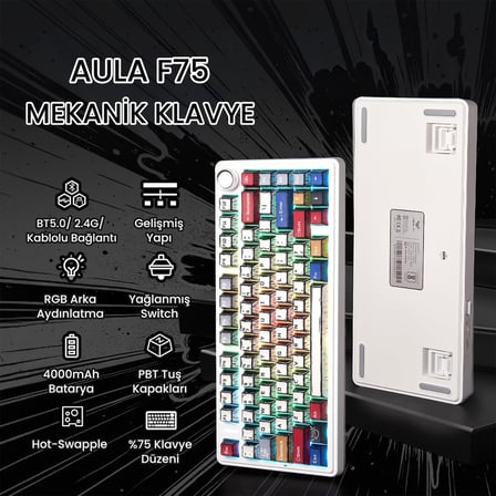 Aula F75 Mekanik RGB TKL Reaper Switch Kablosuz Makrolu Hot Swap Klavye Comic