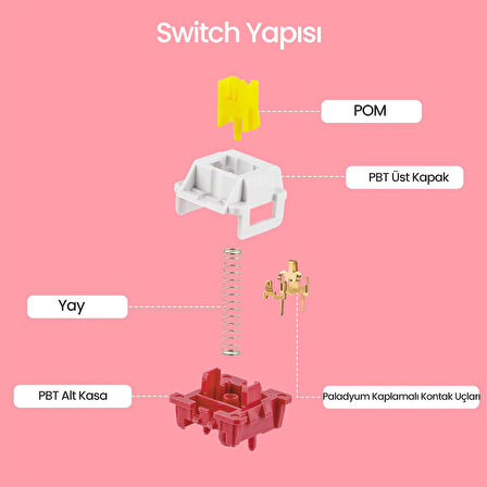 Aula Leobog Nimbus V3 Lineer Mekanik Switch 80 Adet