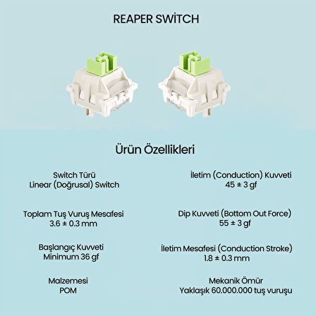 Aula Leobog Reaper Lineer Mekanik Switch 100 Adet