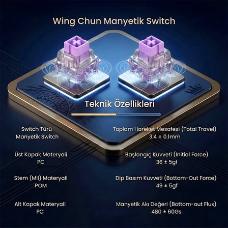 aula leobog wing chun manyetik switch 20 adet
