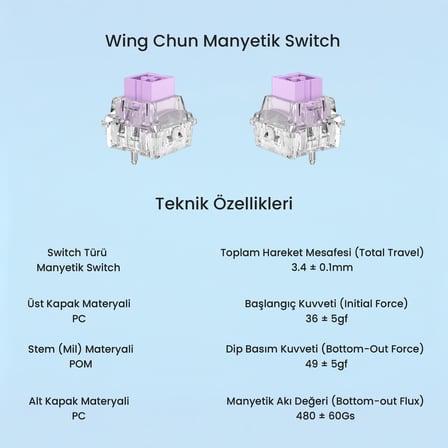 aula leobog wing chun manyetik switch 20 adet