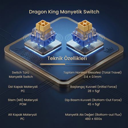 Aula Leobog Dragon King Manyetik Switch 20 Adet