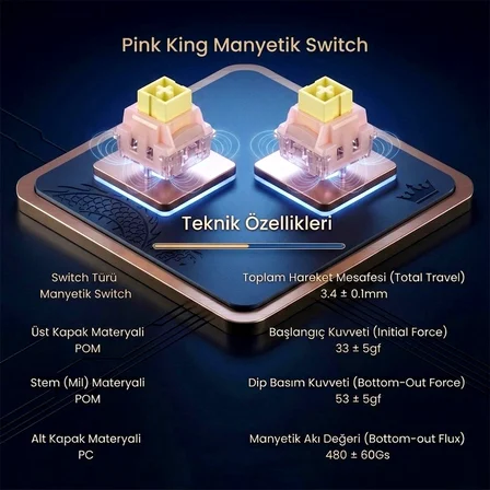 Aula Leobog Pink King Manyetik Switch 20 Adet