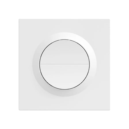 SONOFF Fusion Serisi Orb-ZBW2 Zigbee 2 Kanallı Akıllı Duvar Anahtarı | MINI-ZB2GS-E