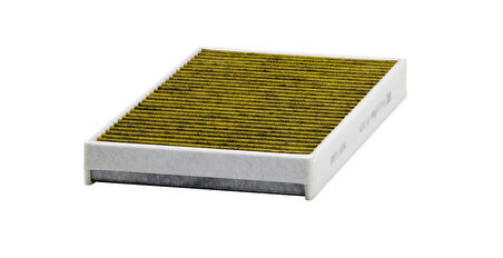 Mann Filter FP3139 Alerjik Polen Filtresi