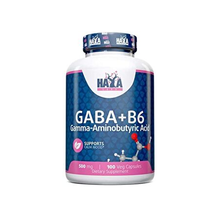 HAYA LABS GABA - B6 500 mg  100 Vcaps