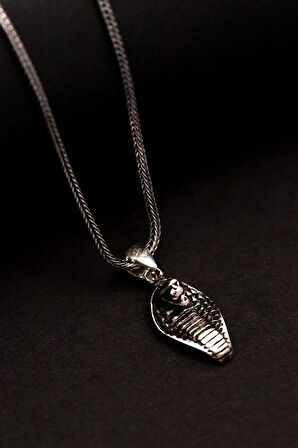 Erkek Gümüş Kolye - Kobra Figürlü Erkek Gümüş Kolye Tilki Kuyruğu Zincirli