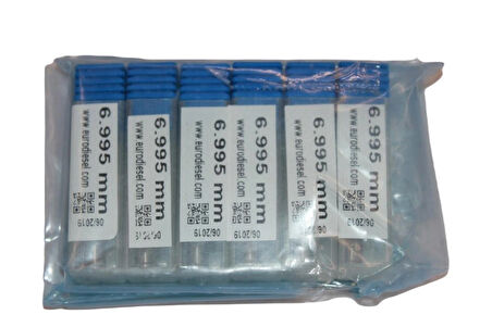 Eurodiesel 6.995 mm 6 Adet Set Common Rail Elektronik Ünite Enjektör Kontrol Vanası Çekirdeği