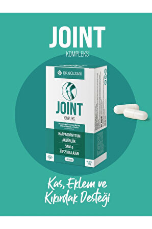 Dr. Gülzari Joint Kompleks 60 Kapsül