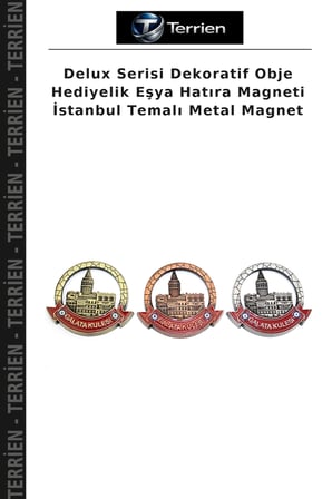 Delux Serisi Dekoratif Obje Hediyelik Eşya Hatıra Magneti İstanbul Temalı Metal Magnet