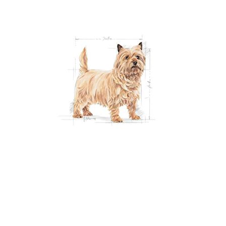 Royal Canin Mini Lightweight Kuru Köpek Maması 3kg