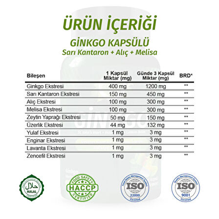 Ginkgo Kapsül (Ginkgo Biloba Capsule )