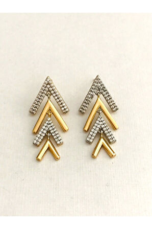 Çelik 2 Renkli V Küpe