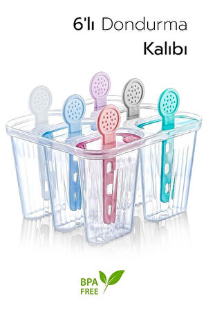 6 Bölmeli Dondurma Kalıbı ve Çubukları - BPA Free | 7,5 x 5,5 x 3 cm