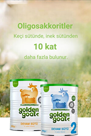 Golden Goat Keçi Bebek Sütü 1 Numara 400 Gr 6'lı Paket