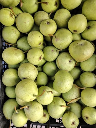 ERZİNCAN ÇERMAİL ARMUT 1KG