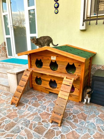 Pati Emlak Ahşap Kedi Evi Dış Mekan Pati Emlak Kedi Kulübesi Ahşap