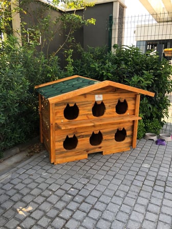 Pati Emlak Ahşap Kedi Evi Dış Mekan Pati Emlak Kedi Kulübesi Ahşap
