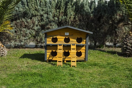 6 Yuvalı Kedi Evi Ahşap