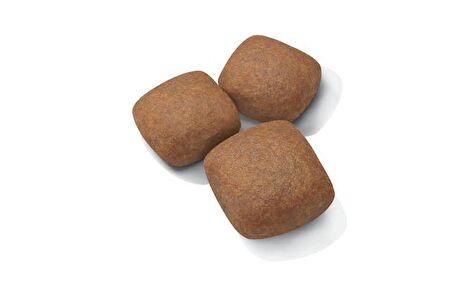 Royal Canin Dev Irklar için Yavru Köpek Maması 15 Kg