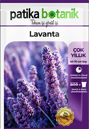 100 Adet Lavanta (Lavandula) Çiçek Tohumu 