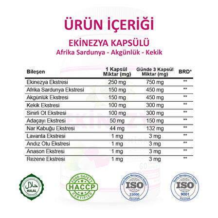 Ekinezya Kapsül (Echinacea Capsule) 