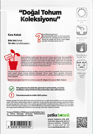 25 Adet Yerli Ata Siyah Kabak Tohumu (Kolsuz Kara Kabak)