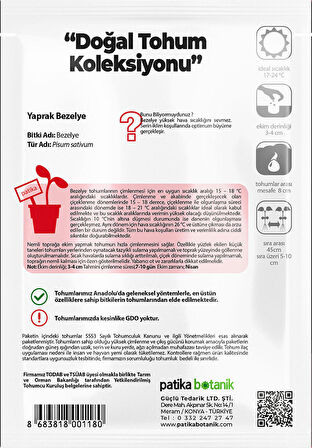 50 Adet Yaprak Bezelye Tohumu